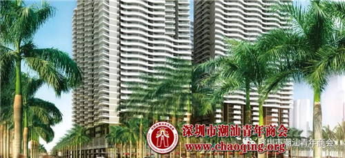 公司成立以来,先后承建了多宗大型工程建设项目,主要有深圳市侨香公馆
