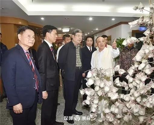 吴开松会长投资企业创世纪种业“深圳芯” 助国产抗虫棉播种全球