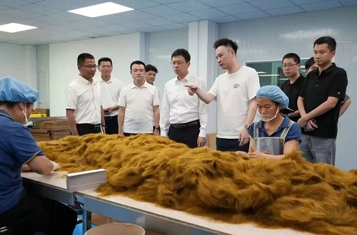 潮南区委书记张晓铿调研深圳潮青林健企业广东金港实业